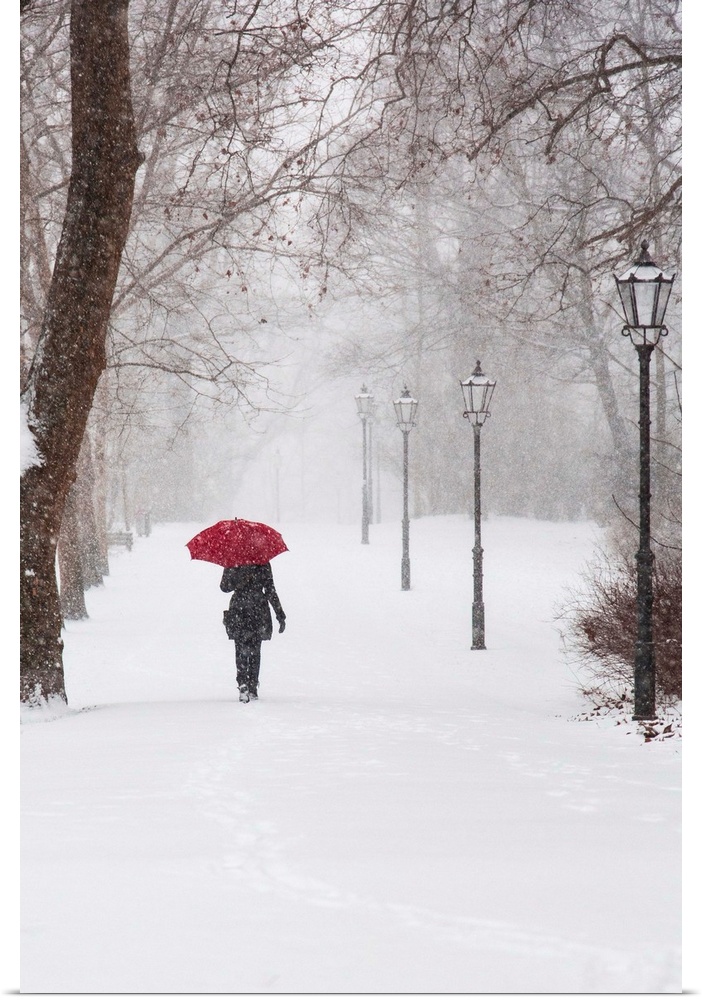 A photograph of a person holding a red umbrella walking through the snow in a park.