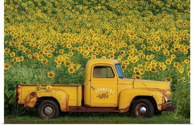 Yellow Vintage Sunflower Truck