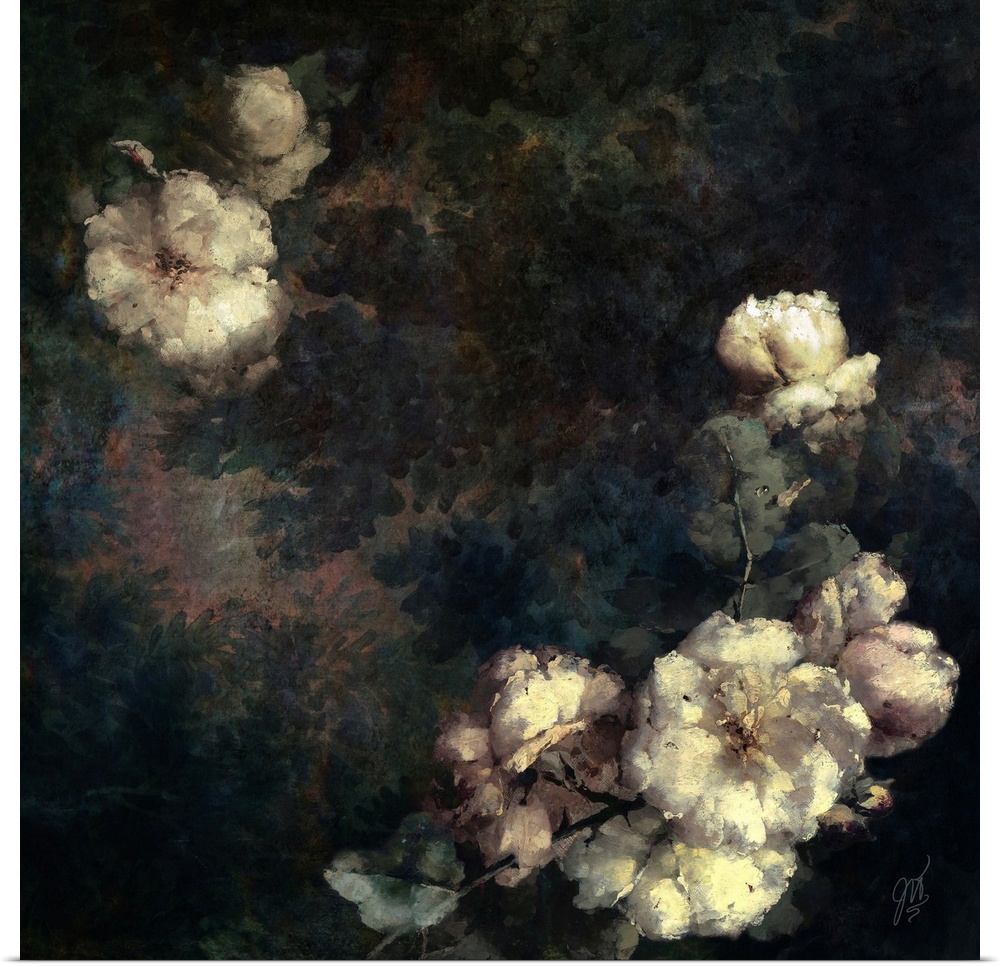 Dreamy white rose blossoms afloat in a forest of dark tones.