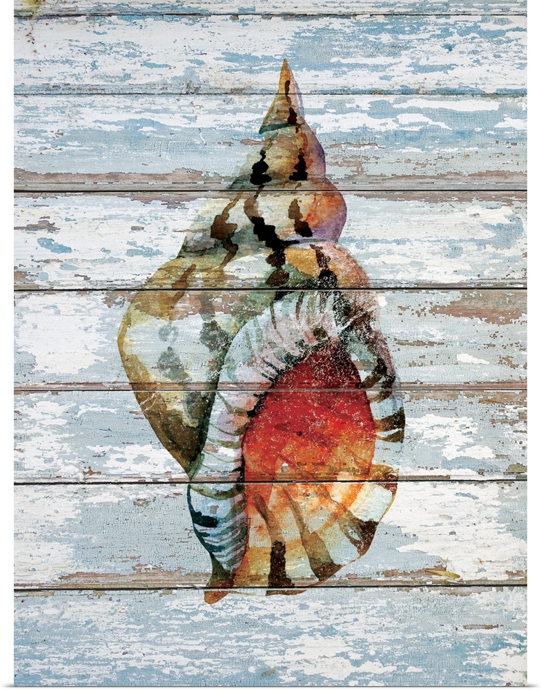 Digital artwork of a seashell on a weather-washed blue-gray wood background.