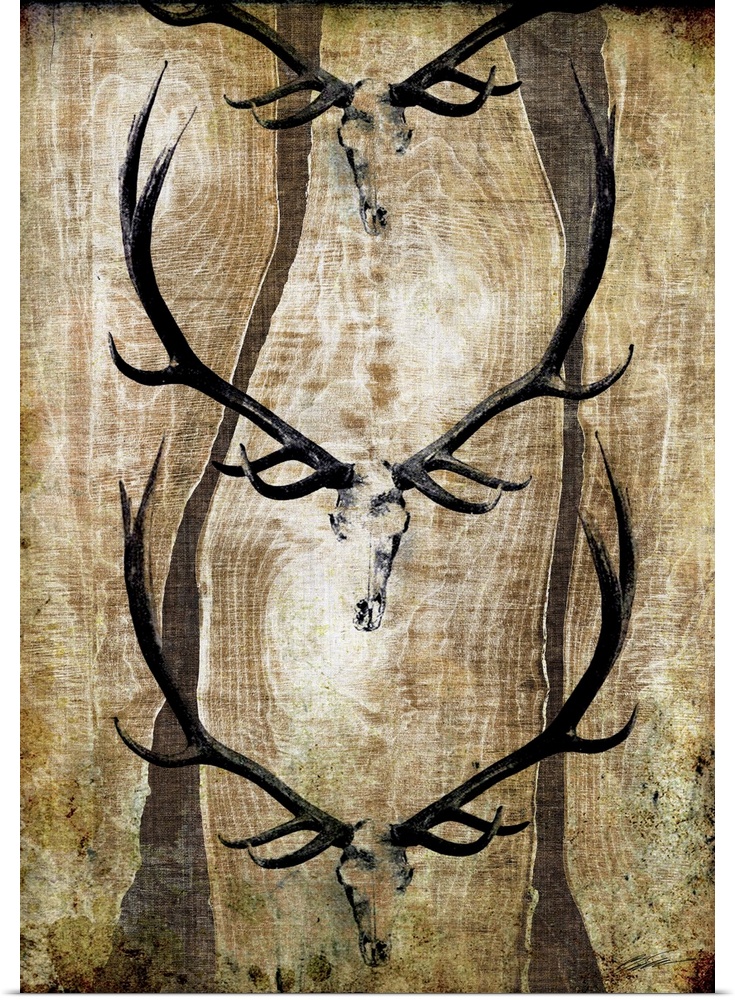 Antler display on a live-edge cabin wall.