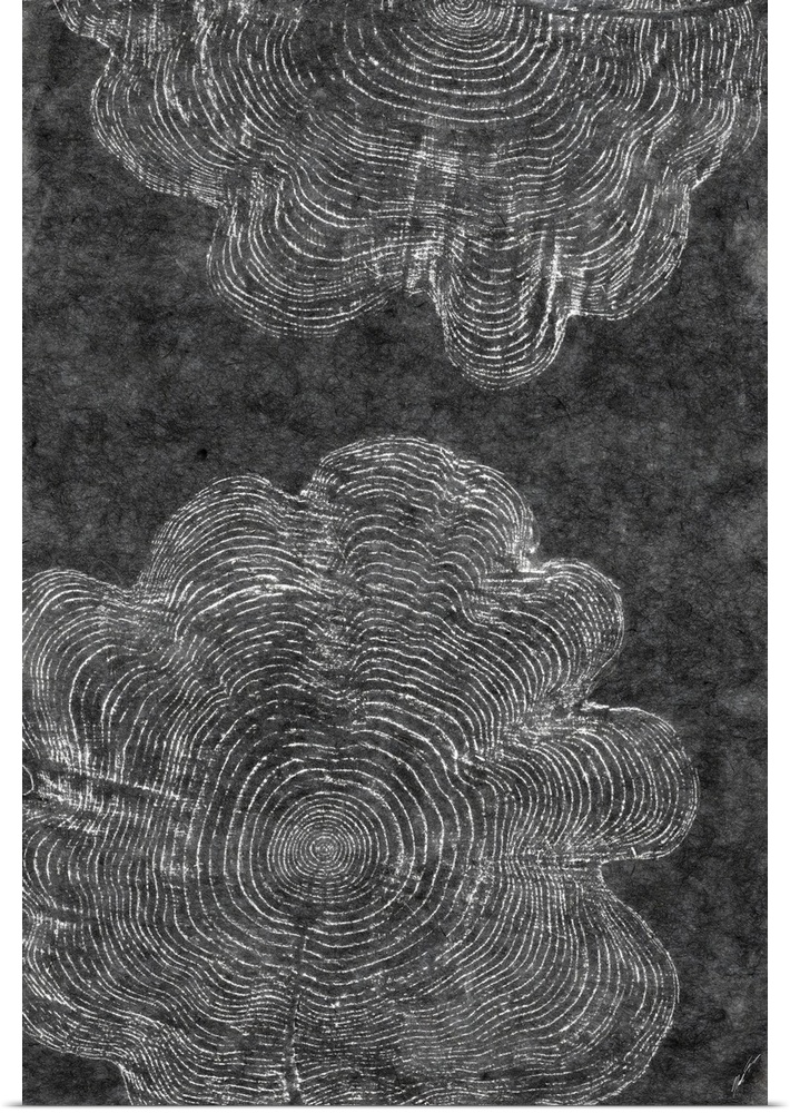 A charcoal rubbing of ancient tree rings.