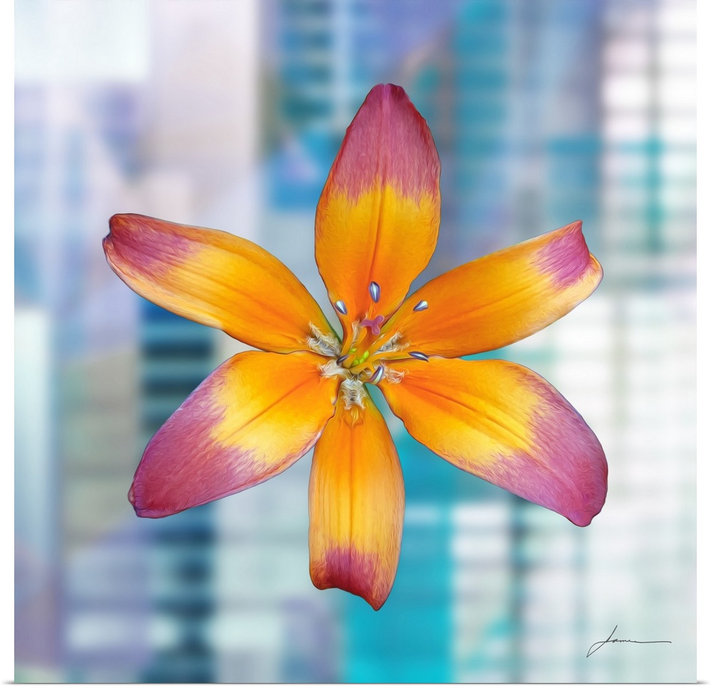 Town and country. A colorful bloom floats over an abstract urban landscape.
