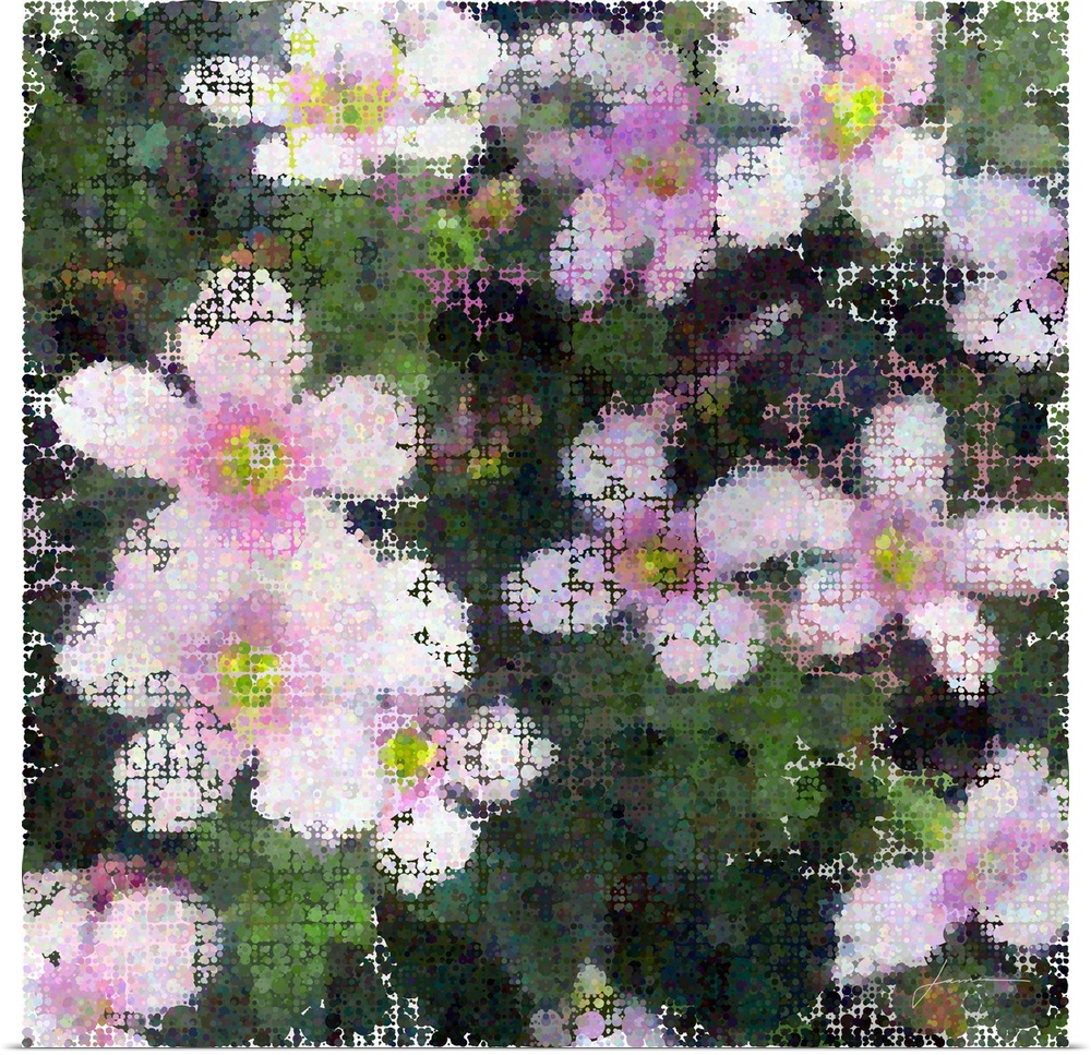 Modern pointillism. Clusters of flowers made of overlapping circles.