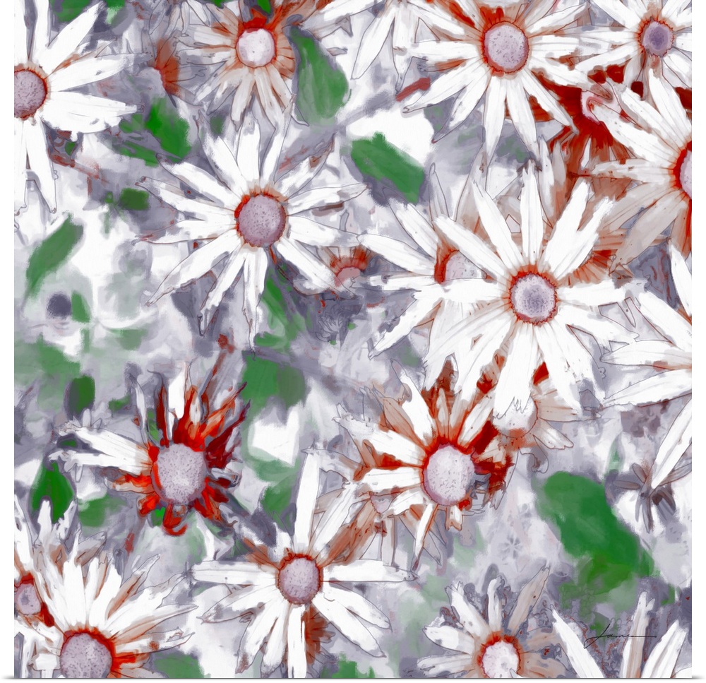 A tight cluster of daisies accented with splashes of color.