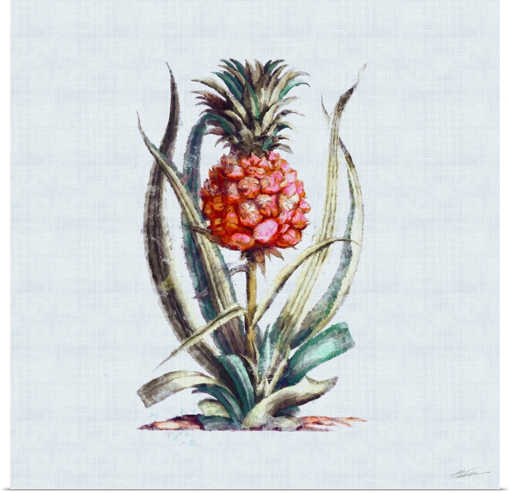 A contemporary colored pineapple on linen.
