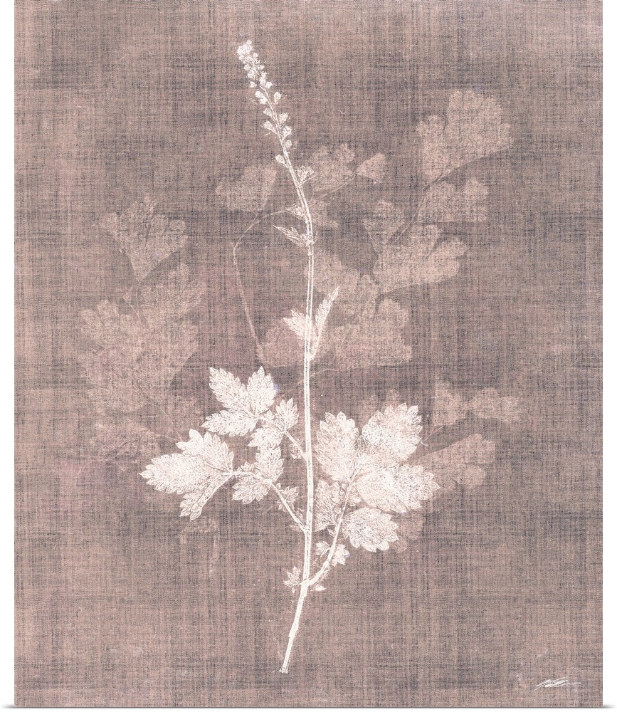 A faded botanical graces the canvas in simplicity.