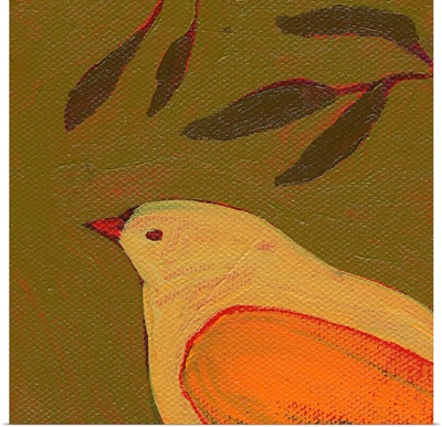 Tangerine Bird in Thought