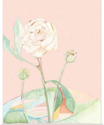 Colorblock Modern Watercolor Roses