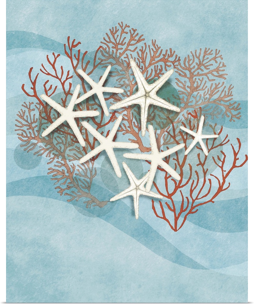 Illustration of several white starfish with red coral on a wavy blue background.