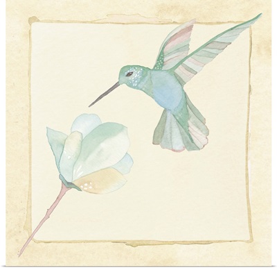 Hummingbird and Flower - Butter