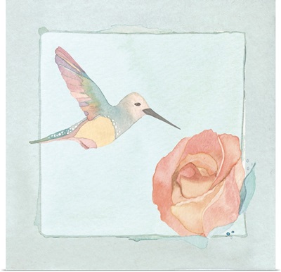 Hummingbird and rose - pale aqua