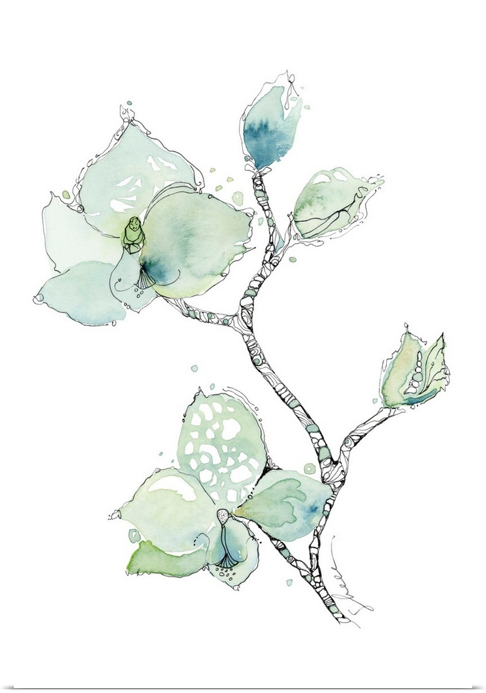 Watercolor and Ink hand painted illustration of an orchid.