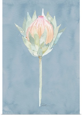 King Protea Watercolor Flower Cornflower Blue