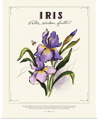 Language Of Flowers - Iris
