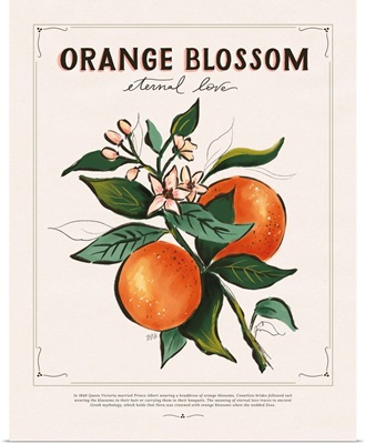 Language Of Flowers - Orange Blossom