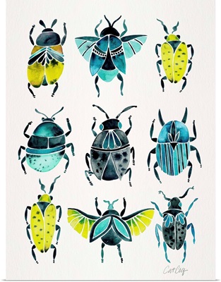 Lime Turquoise Beetle Collection