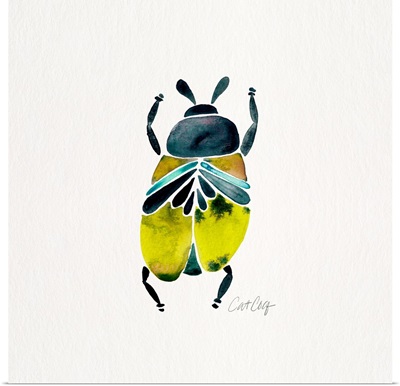 Lime Turquoise Beetle Collection Beetle 1