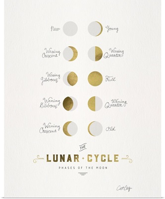 Lunar Phases White Gold
