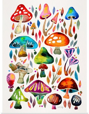 Mushroom Magic Rainbow