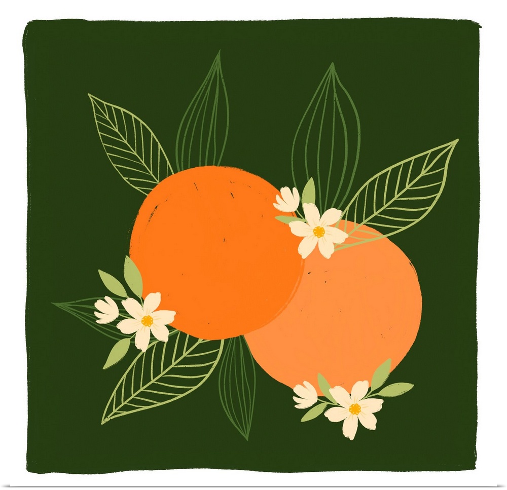 Oranges - Painted Oranges