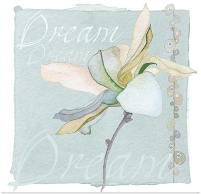 Orchid cream - Dream