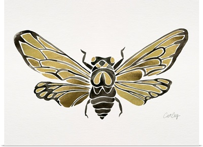 Summer Cicada