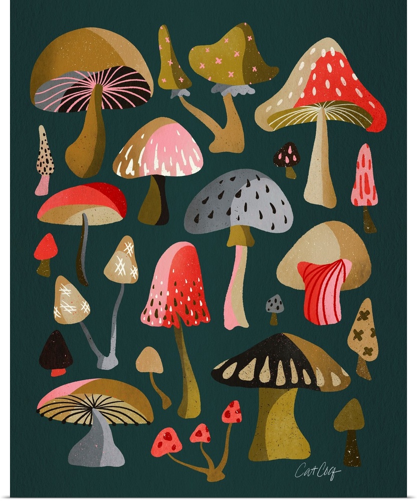 Teal Mushrooms