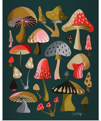 Teal Mushrooms