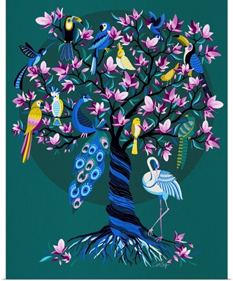 Tropical Bird Tree Of Life