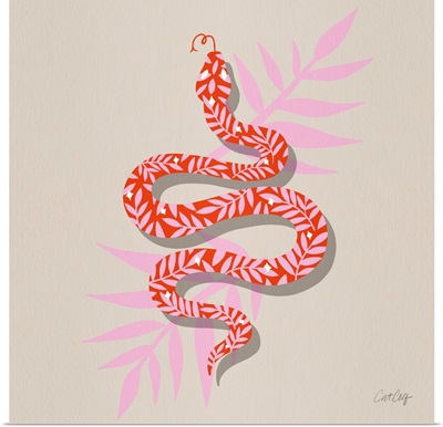 Tropical Serpent Coral Pink