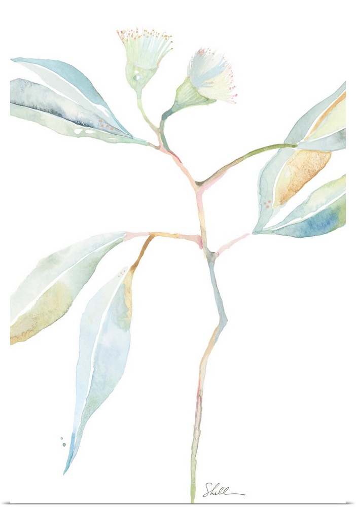 Hand Painted watercolor botanical with soft florals and branches