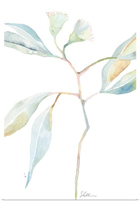 Watercolor Botanical IV