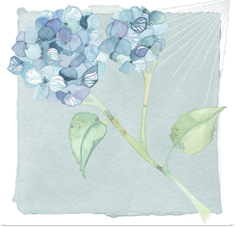 Watercolor artwork of blue hydrangea flowers on a stem with two green leaves.