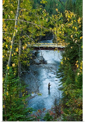 A fisherman in Bighorn Creek, part of the Kootenay River system