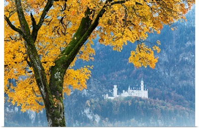 A colorful tree frames the Neuschwanstein Castle surrounded by woods