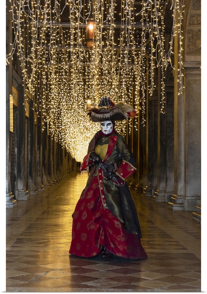 A woman in costume poses in St. Mark's square during the Venice Carnival, Venice, Veneto, Italy