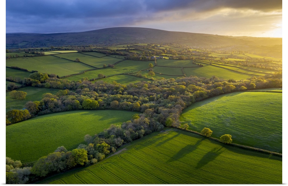 Aerial photo of rolling countryside in evening light, Livaton, Devon, England. Spring (April) 2019.