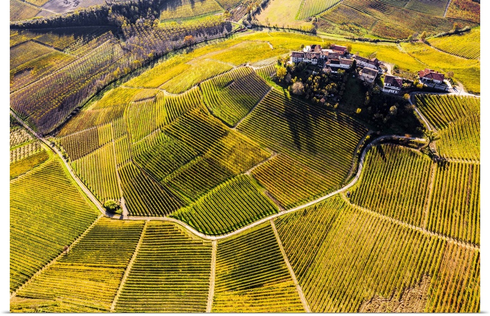 Aerial view of Montestefano village in autumn. Barbaresco region, Piedmont, Italy, Europe.