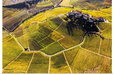 Aerial View Of Montestefano Village In Autumn, Barbaresco Region, Piedmont, Italy