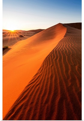 Africa, Namibia, Namib Desert, Sossusvlei, Big daddy dune at sunrise