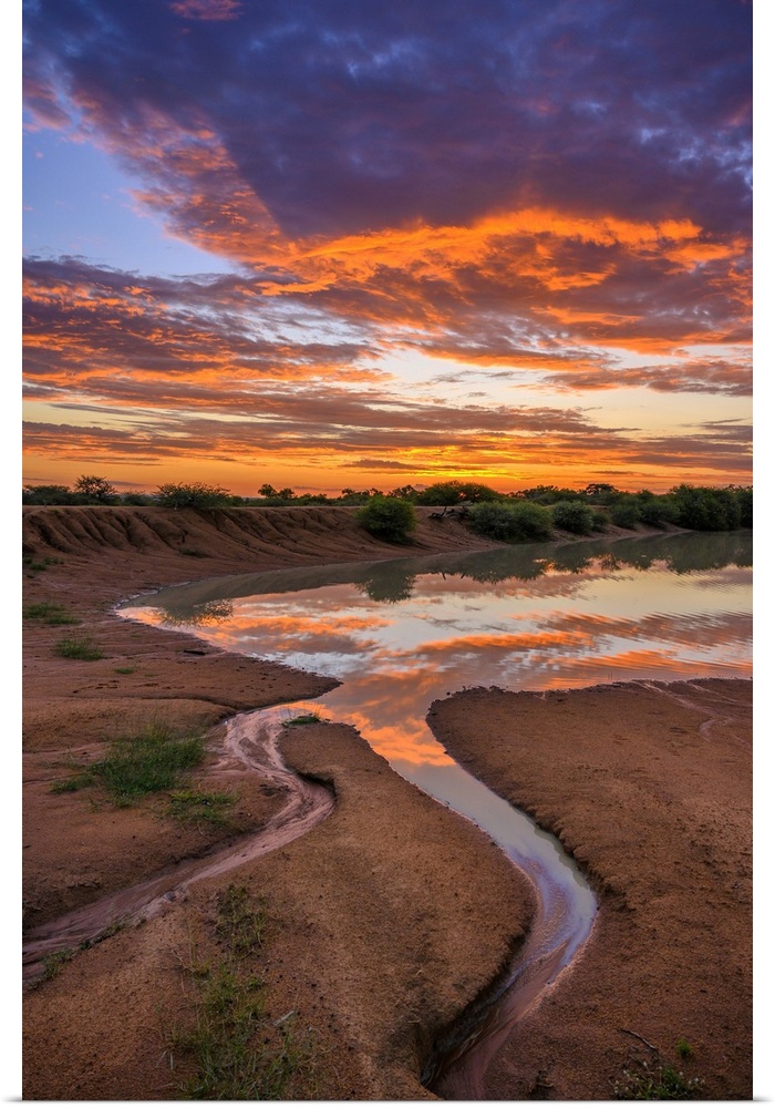 Africa, South Africa, African, Limpopo province, water hole at sunset.