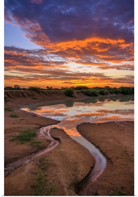 Africa, South Africa, African, Limpopo Province, Water Hole At Sunset