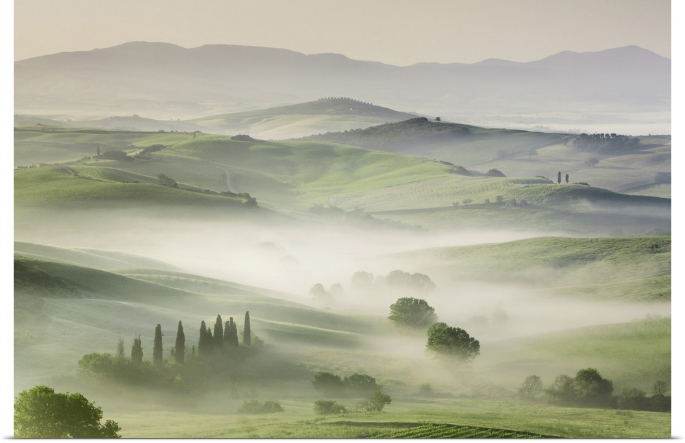 Agricultural landscape in fog. Italy, Tuscany, Siena, Val d'Orcia, San Quirico d'Orcia. Tuscany, Western Europe, Italy.