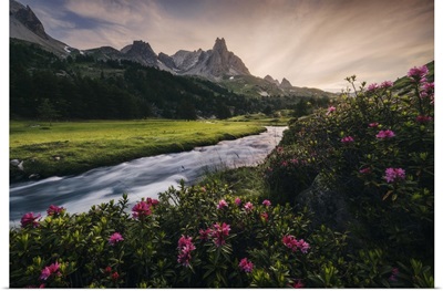 Alpine Meadows During A Summer Sunset, Val Claree, Southern France