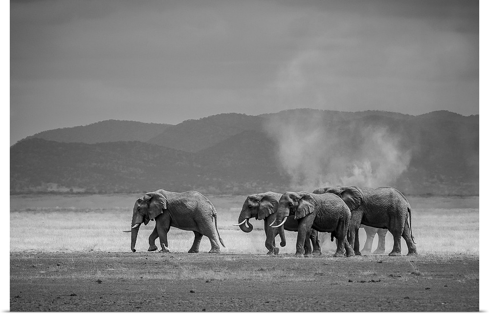 Amboseli Park, Kenya, Africa A family of elephants in Amboseli Kenya.