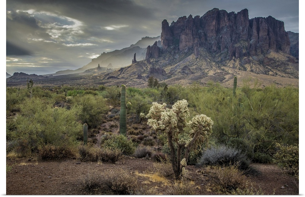 USA, Arizona, Southwest, Maricopa County, Apache Junction, Lost Dutchman State Park, Superstition mountains.