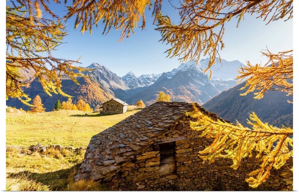Autumn at Alpe dell'Oro,  Malenco Valley,  Valtellina, Sondrio, Lombardy, Italy