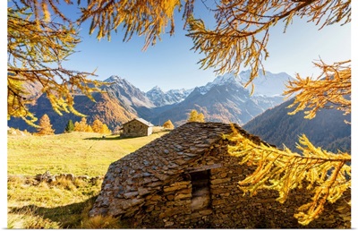 Autumn At Alpe Dell'oro, Malenco Valley, Valtellina, Sondrio, Lombardy, Italy