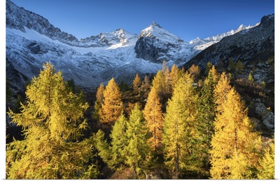Autumn In Presena, Tonale Pass In Trentino Alto Adige, Italy